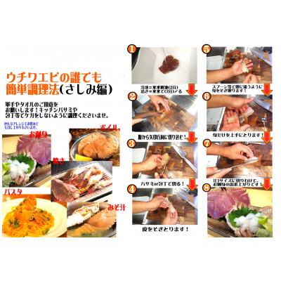 ふるさと納税 東洋町 活き〆ウチワエビ　小500gセット(6〜7尾)天然高知県産!刺身OK!　誰でも簡単調理説明書付き! |  | 03