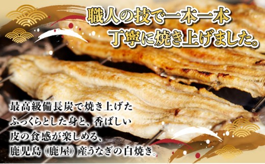 ひじりうなぎ白焼き 2尾 300g(秘伝のタレ付き) /ふるさと納税 佐賀 うなぎ 鰻 蒲焼 大町 贈答 ギフト 贈り物【19ui-0004】