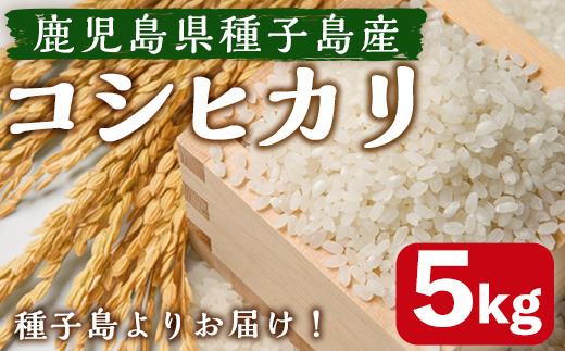 n359 ＜先行予約受付中！2025年7月中旬頃より順次発送予定＞種子島のお米！コシヒカリ(5kg) 国産 鹿児島県産 種子島 コシヒカリ こしひかり 米 お米 おこめ 白米 【なかたね農産】