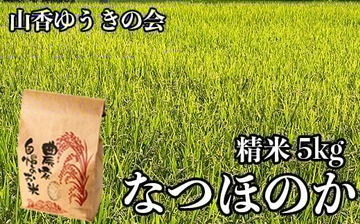 
            【 令和7年産 新米 先行予約 】山香ゆうきの会の米 5kg（精米：なつほのか） 新米 5kg 米 先行予約 先行受付 ＜002-010＞
          
