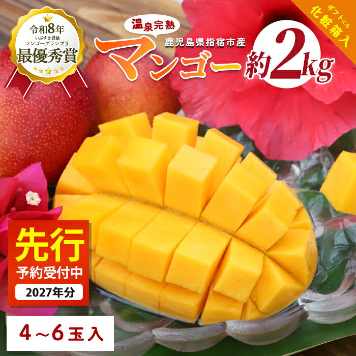 【ふるさと納税】＜2027年 発送＞南国指宿産 温泉完熟マンゴー 約2kg(4〜6個)化粧箱入 鹿児島 マンゴー 産地直送 高級果物 プレミアムフルーツ 完熟 温泉マンゴー お取り寄せ とろける甘さ ジューシー 夏の味覚 旬 【トロピカルフルーツ&プランツ】