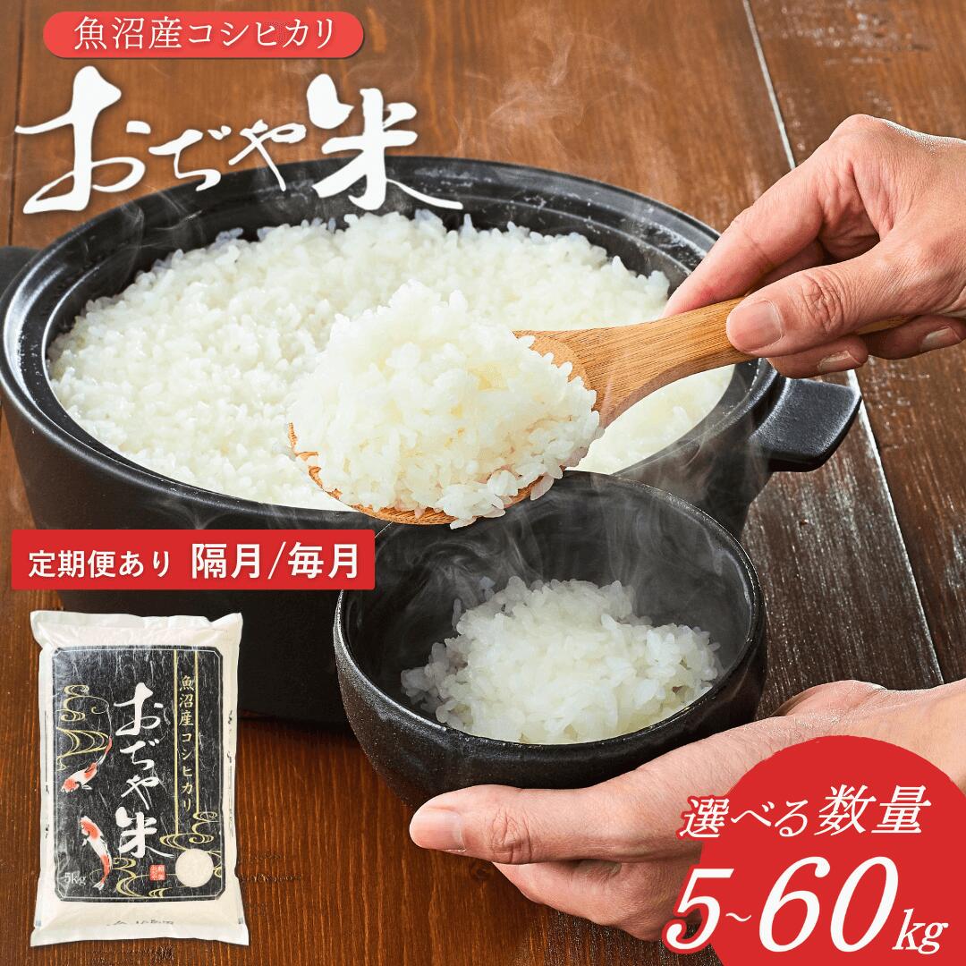 【ふるさと納税】令和7年産 魚沼産コシヒカリ「おぢや米」 〈選べる 内容量・回数〉 5kg / 10kg / 15kg / 30kg /40kg /50kg / 60kg JA魚沼 新潟県 特Aの魚沼地域 | 新潟県産コシヒカリ 米 こしひかり 魚沼産 白米 精米 ブランド米 特A評価【0002-JA00SV00-02】