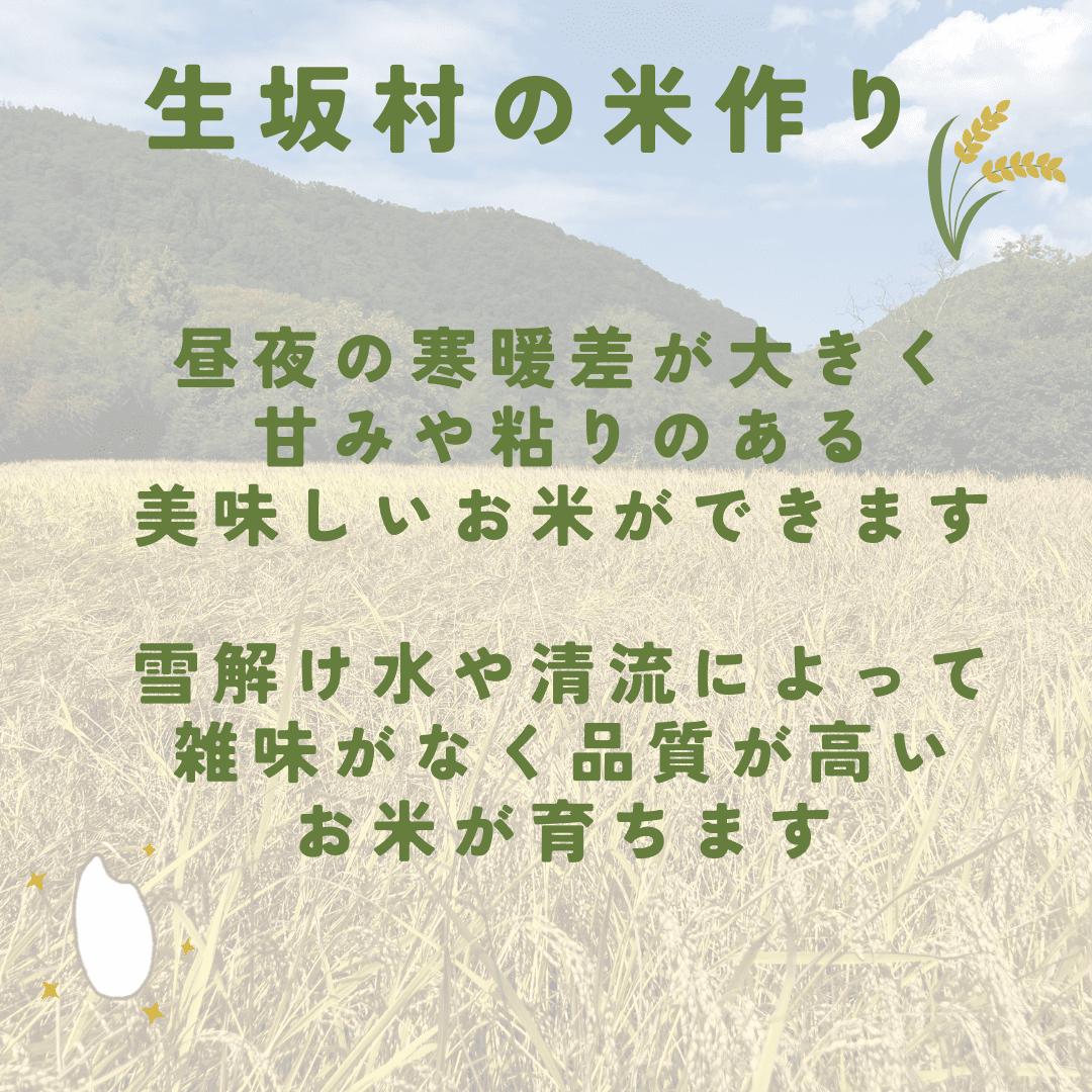 【6ヶ月定期便】白米 生坂村産コシヒカリ 無洗米 5kg 長野県産 | コメ 白米 長野県 生坂村