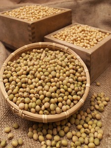 手作り豆腐　国産大豆100%使用　こだわり製法