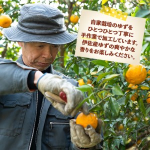 isa417 ＜期間限定＞ダブル半ダース(ゆずしぼり×6本・ゆず小姓×6個) 柚子 果汁 調味料 柚子胡椒【ゆず香房】