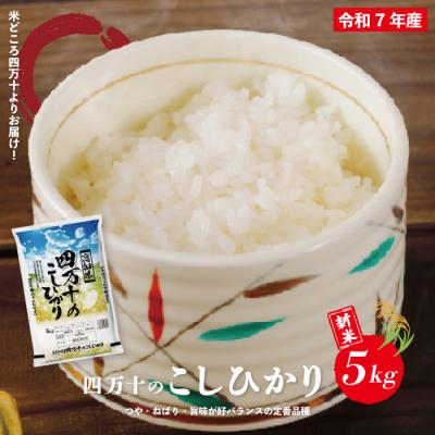 ふるさと納税 四万十市 【令和7年産新米】四万十のこしひかり5kg【2025年9月より順次配送】