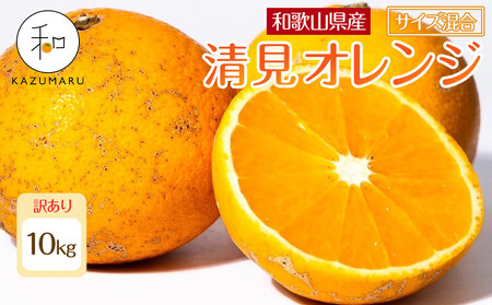 オレンジ 清見オレンジ 約10kg サイズ混合［RN49］