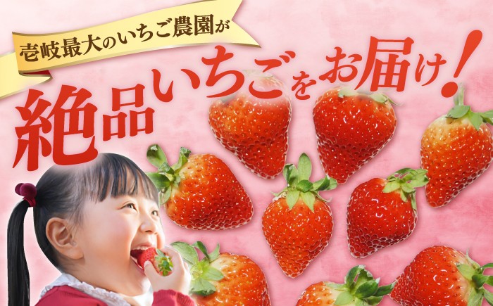  まとめ買い 人気 便利  贈り物 ギフト 食材  イチゴ 苺 フルーツ 果物