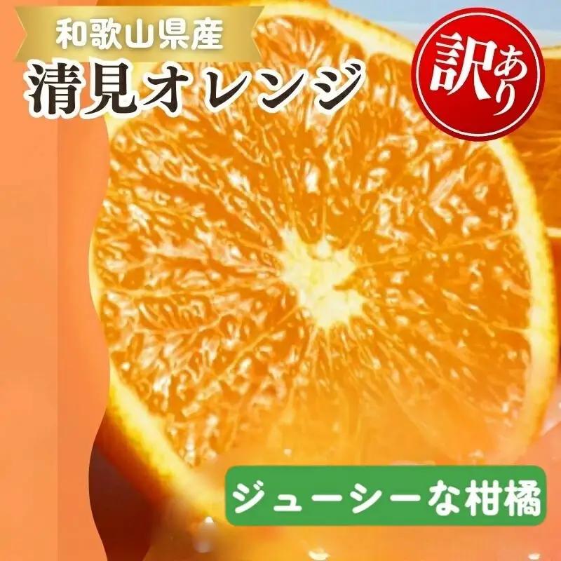 【ご家庭用訳アリ】紀州有田産清見オレンジ　7.5kg 	※2027年3月下旬頃〜2027年4月下旬頃に順次発送予定(お届け日指定不可)【uot730A】