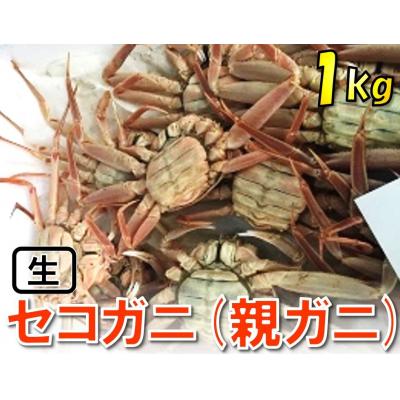 ふるさと納税 鳥取市 【魚倉】活お任せセコガニ 1kgセット