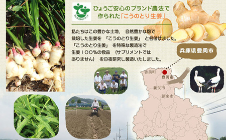 ハチミツ仕立てこうのとり生姜シロップ 150ml×2本 / 無添加 生姜シロップ 国産 兵庫県産 こうのとり生姜 紅茶 料理 お菓子作り 温活 体が温まる 風邪予防 しょうが ショウガ 生姜 はちみつ