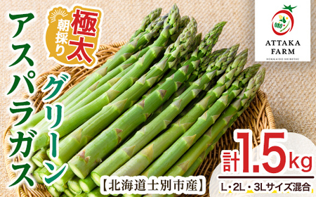 【C7076】＜特別栽培・期間限定＞北海道士別市産 極太グリーンアスパラ (L～3Lサイズ混合・1.5kg) 【2026年5月以降順次発送】野菜 太い 極太 アスパラ アスパラガス グリーンアスパラ 北海道 北海道産 国産 旬 産地直送 【あったかふぁーむ】