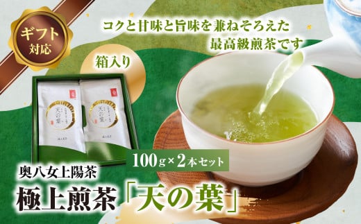 【ギフト用】奥八女上陽茶　極上煎茶「天の葉」100ｇ×2本セット箱