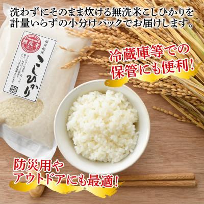 ふるさと納税 小浜市 【福井県産】無洗米こしひかり2合(約300g)×10パック(精米)　計3kg |  | 01