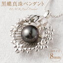 【ふるさと納税】 SILVER 黒蝶真珠 8mm ペンダント ブラックパール パール パールペンダント 真珠 アクセサリー ジュエリー おしゃれ シンプル ギフト プレゼント 送料無料