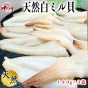 【ふるさと納税】岬だより ＜貝専門店＞ 天然 白ミル貝 100g × 3袋 冷凍 新鮮 海鮮 鮮度 風味 魚介 貝 海の幸 おかず お刺身 寿司 バター焼き ご飯 甘み おつまみ 酒 おすすめ 人気 愛知県 南知多町 三河湾【配送不可地域：離島】