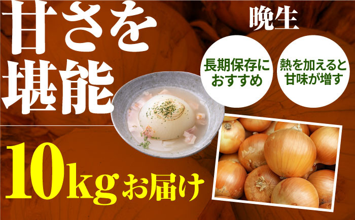 玉ねぎの名産地！佐賀県白石町からお届け！