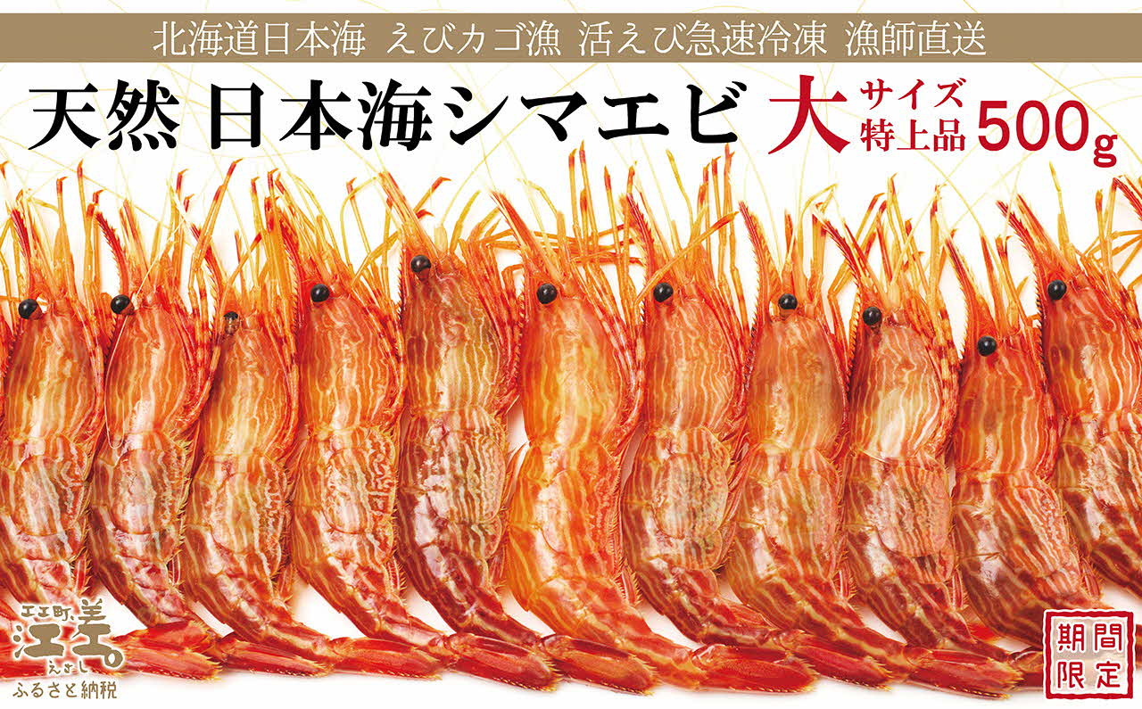 
《1月から発送》北海道産 違いが分かる天然日本海シマエビ 大サイズ 500g　色鮮やかで香りよし 濃厚な甘み 食べれば分かる格別の味！　国産　江差近海産　天然もの　エビかご漁師直送　最良品厳選　生食可　お刺身　天ぷら　エビフライ　海老
