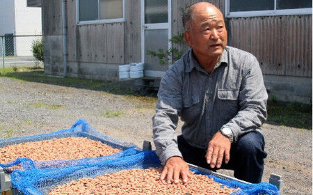 落花生 豊後高田特製塩煎り落花生詰合せ(100g×5袋)