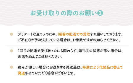 【2回定期便】さくらんぼ 佐藤錦 1kg 柔らかめの白桃 2kg さくらんぼ 白桃 桃 もも 品種おまかせ 定期便 山形県産 2025年度産 令和7年 フルーツ 果実 送料無料 ry-ft2sh300