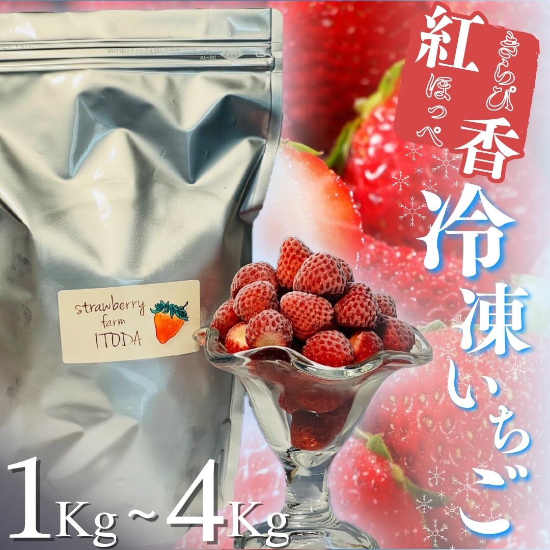 【ふるさと納税】 冷凍イチゴ 大人気 1kg 2kg 3kg 4kg 苺 いちご イチゴ 国産 完熟 甘い スムージー ジャム ヨーグルト 一口サイズ 紅ほっぺ きらぴ香 苺 果物 フルーツ 静岡 南伊豆 冷凍 いちご 地元JA品評会金賞受賞
