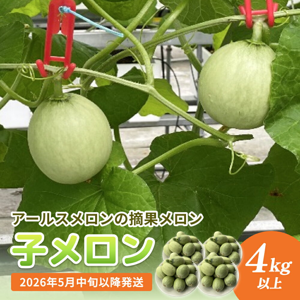 【ふるさと納税】〈先行予約〉 子メロン （アールスメロンの摘果メロン） 4kg以上 ＜2026年5月中旬以降発送＞【お漬物に】【お料理に】 富山県 氷見市 メロン 野菜 産地直送