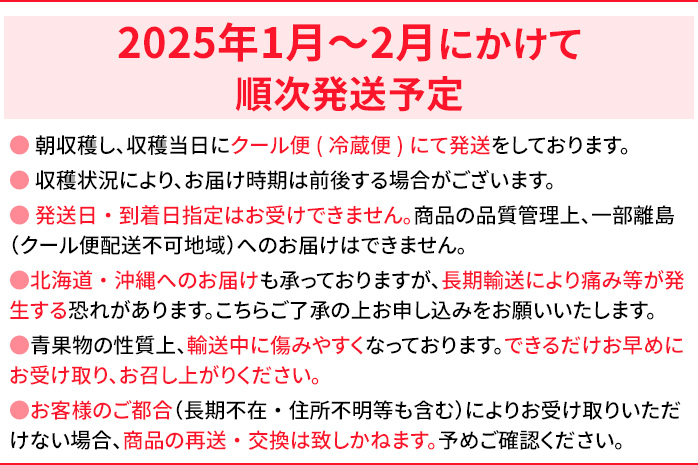 あまおうプレミアム　※2025年1月～2月頃発送予定　BD02