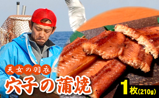 あなご 蒲焼 1枚 210g 天女の羽衣【魚介類 冷凍 真空パック タレ付き】