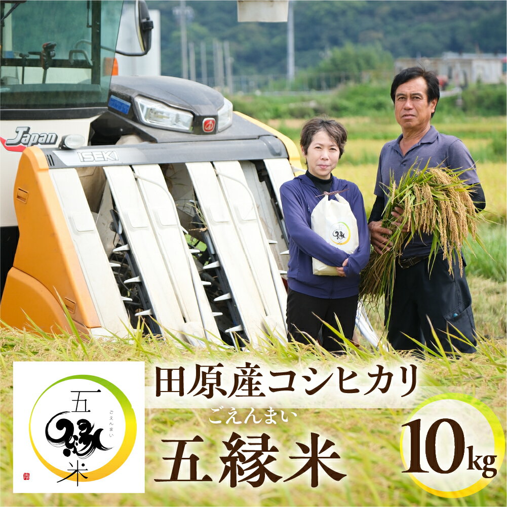 【ふるさと納税】 【先行予約】五縁米 10kg こしひかり お米 おこめ 米 コメ ごはん コシヒカリ ご飯 おかず 白飯 白ごはん ブランド米 お弁当 精米 お取り寄せ 災害 備え 愛知県 田原市 人気