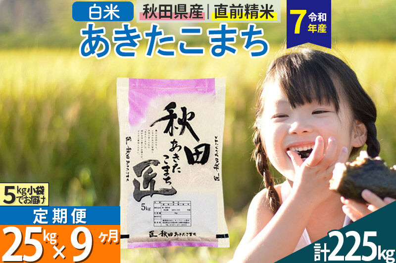 【白米】＜令和7年産＞ 《定期便9ヶ月》秋田県産 あきたこまち 25kg (5kg×5袋)×9回 25キロ お米 匠  [サンファーム西木定期便 お米定期便 白米 あきたこまち ごはん 米 お米]