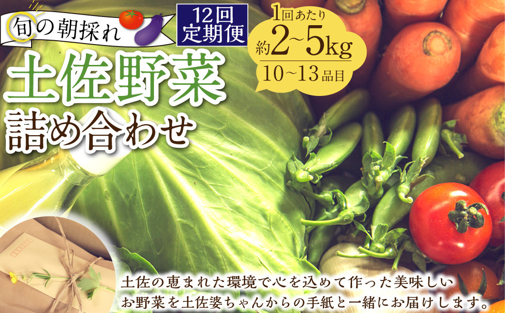 【定期便12回】旬の朝採れ土佐野菜詰め合わせ（10～13品目）