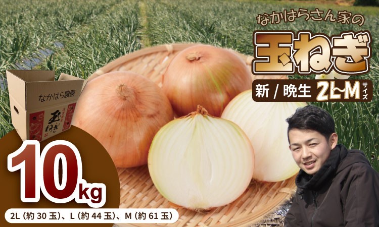
                  【先行予約受付中】タマネギ（新玉ねぎ、晩生玉ねぎ ）なかはら農園 （10kg）サイズ2L～Mサイズ （たまねぎ、玉葱）
                