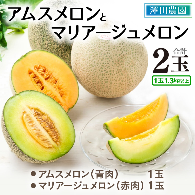 【先行予約】アムス・マリアージュメロン 2種（1.3kg以上2玉入）農園1番のおすすめ！ / 期間限定 果物 フルーツ 産地直送 青肉 赤肉 人気 ※2025年7月上旬より順次発送