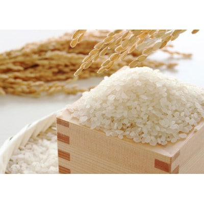 【令和7年産】ミルキークイーン　精米　5kg