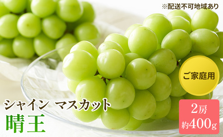 ぶどう 2026年 先行予約 ご家庭用 シャイン マスカット 晴王 約400g×2房 岡山県産 シャインマスカット