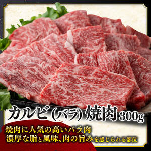 宮崎牛６種 詰め合わせ 1.7kg 【 肉 牛肉 宮崎牛 黒毛和牛 ロースステーキ ウデ 肩ロース チマキ ネック カルビ 焼肉 ミヤチク 】