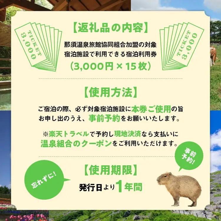 那須温泉旅館協同組合 ご宿泊利用券 45,000円分（3,000円×15枚）〔H-8〕｜宿泊 旅行 チケット 宿泊券 温泉 露天風呂 旅行券 ホテル 観光 国内旅行 那須 栃木県 那須町