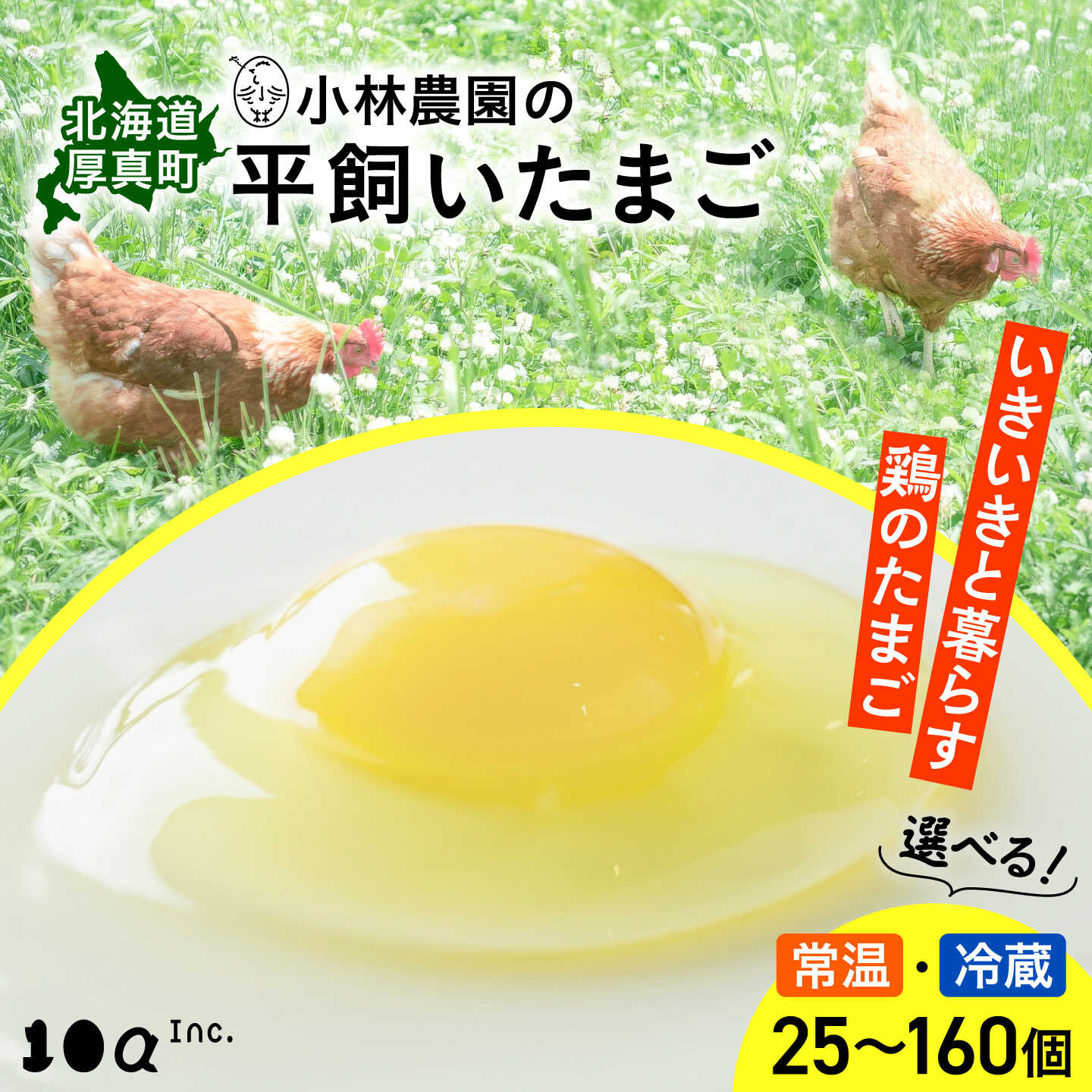 無投薬・平飼い有精卵 25個セット
