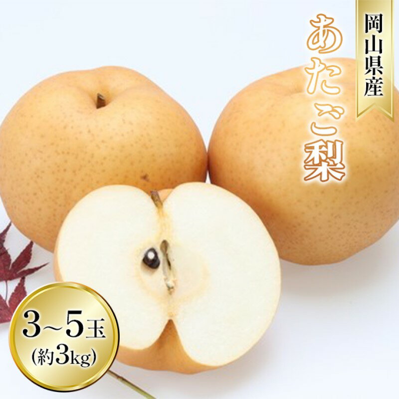 【ふるさと納税】梨 2025年 先行予約 あたご梨 約3kg 3～5玉入り なし ナシ 岡山県産 国産 フルーツ 果物 ギフト 和梨 デザート 食後 日本一の大きさ 大玉 シャリシャリ　お届け：2025年11月下旬～2025年12月中旬