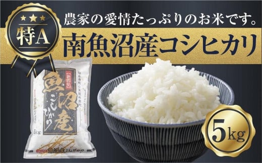 新潟県 南魚沼産 コシヒカリ お米 5kg 精米済み（お米の美味しい炊き方ガイド付き）