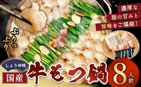 【1月発送】 国産牛もつ鍋 8人前 ちゃんぽん 濃縮スープ付（醤油味） もつ ホルモン 鍋 お鍋 セット 冷凍 岡垣町