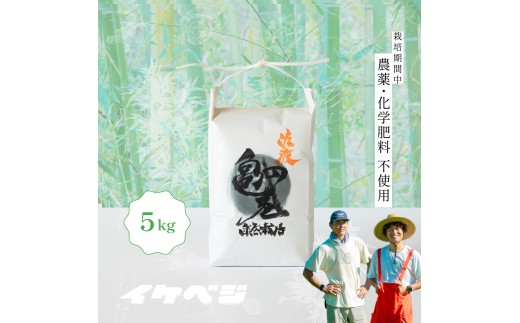 佐渡産 亀の尾 白米5kg 令和8年産 特別栽培米 在来品種 | 新潟県産亀の尾 新潟産亀の尾 新潟亀の尾 佐渡産亀の尾 新潟県産かめのお 佐渡産かめのお 在来種 お米 米 白米 はくまい おこめ コメ 5キロ にいがた さど 新潟県 佐渡市