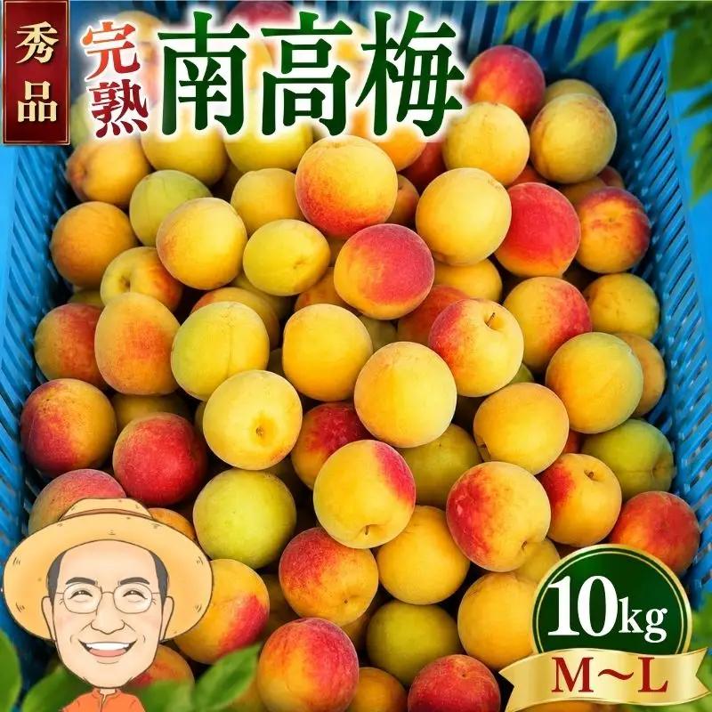 【秀品】完熟 南高梅 約10kg (＋保証100g) M～L カキエモン農園【BX-kkem044】