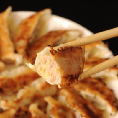 ふるさと納税 八雲町 【毎月定期便】餃子2種セット40個(野菜餃子10個入り×2箱・もろみ味噌餃子10個入り×2箱)全3回 |  | 02