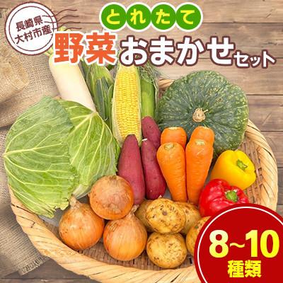 ふるさと納税 大村市 大村産とれたて野菜おまかせセット(8〜10種類)