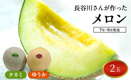 【先行予約】メロン 2玉 ゆうか タカミメロン
