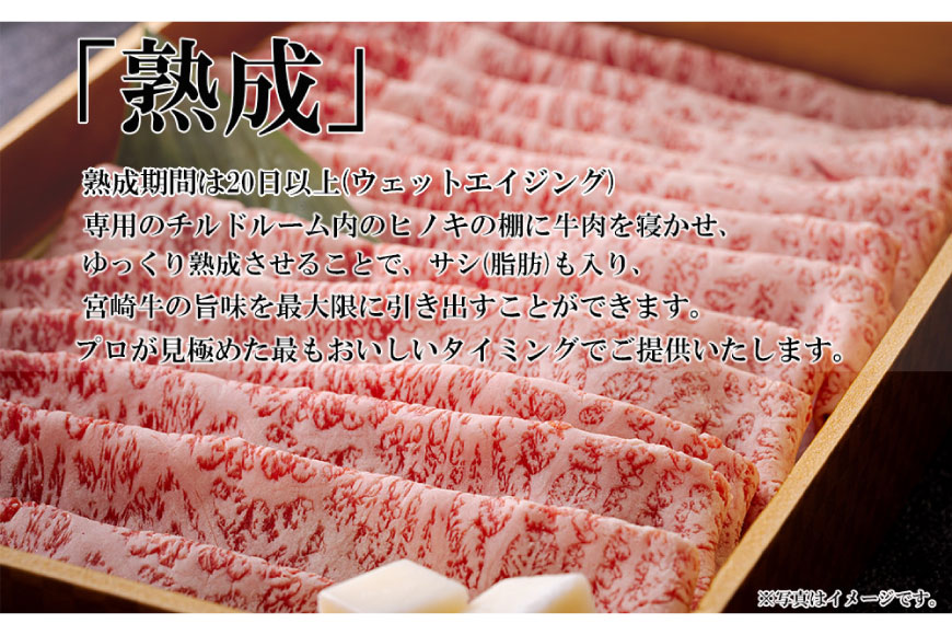 宮崎牛 A4 赤身 ステーキ 150g×3枚 特製ステーキソース シーズニング付 [南海グリル 宮崎県 美郷町 31bg0016] 牛肉 和牛 ステーキ 赤身肉 脂控えめ あっさり 厳選 旨味 冷凍 