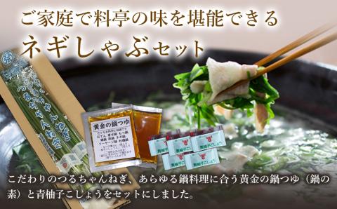 ネギしゃぶセット(つるちゃんねぎ・黄金の鍋つゆ・青柚子こしょう) 野菜 葱 ねぎ 調味料 鍋の素 手作り ゆずこしょう 柚子胡椒 薬味 鍋 しゃぶしゃぶ 九州産 中津市 熨斗対応可