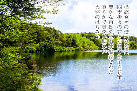 信州特産！！「国産純粋　天然 百花はちみつ」500ｇ｜ハチミツ 蜂蜜  [YY-102-2] 