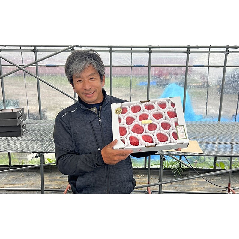 いちご 朝倉市産 あまおう 4L以上 16玉～20玉 イチゴ 苺 果物 デザート ※配送不可：離島_イメージ5